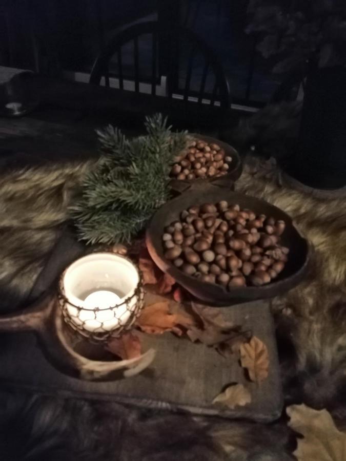 Le Hangar Des Voyageurs Petit-Halleux 외부 사진